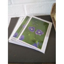 Kort m. kuvert <br><br> 10,5 x 14,8 cm <br><br> V�lg motiv <br><br> 2. SORTERING <br><br>