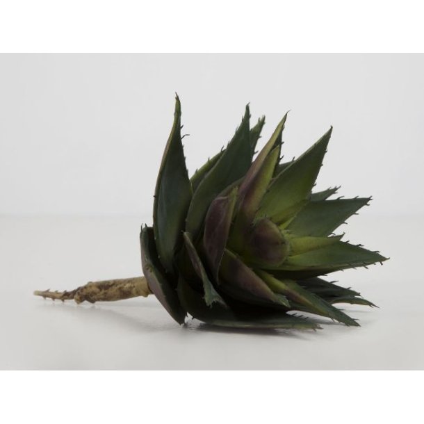 Stor Aloe vera p stilk <br><br> 24 cm