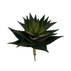 Stor Aloe vera p stilk <br><br> 24 cm