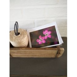 Kort m. kuvert <br><br> 10,5 x 14,8 cm <br><br> V�lg motiv <br><br> 2. SORTERING <br><br>