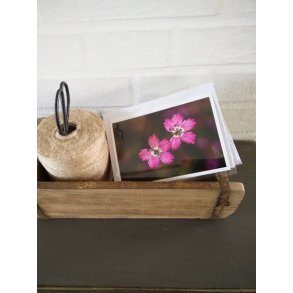 Kort m. kuvert <br><br> 10,5 x 14,8 cm <br><br> V�lg motiv <br><br> 2. SORTERING <br><br>