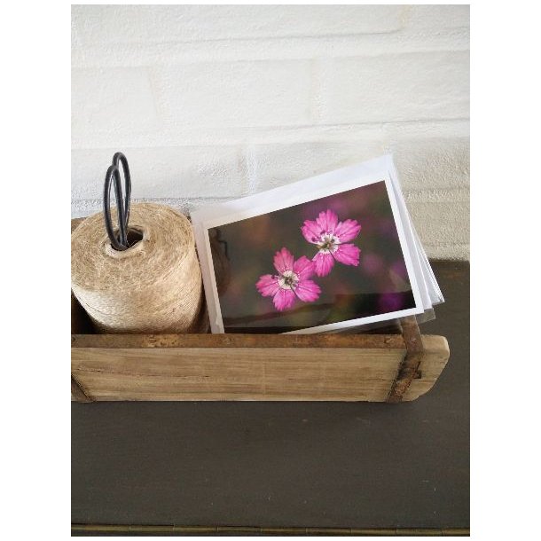 Kort m. kuvert <br><br> 10,5 x 14,8 cm <br><br> V�lg motiv <br><br> 2. SORTERING <br><br>