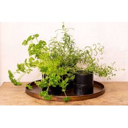 Rund plantebakke <br><br> Kobber look <br><br> Vlg strrelse / st <br><br>