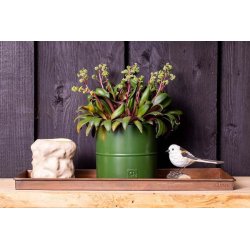 Rektangulr plantebakke <br><br> Kobber look <br><br> Vlg strrelse / st <br><br>