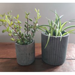 Potteskjuler beton <br><br> Vlg mellem 2 strrelser <br><br>