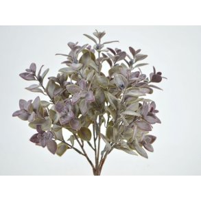 Buksbom <br><br> gr/grn <br><br> L 30 cm