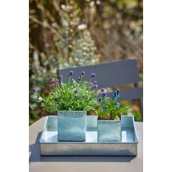 Firkantet bakke <br><br> galvaniseret <br><br> mini - 30 x 30 x 4 cm <br><br> 