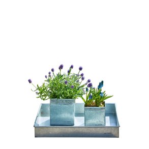 Firkantet bakke <br><br> galvaniseret <br><br> mini - 30 x 30 x 4 cm <br><br> 