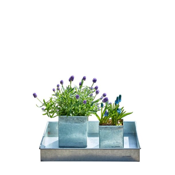 Firkantet bakke <br><br> galvaniseret <br><br> mini - 30 x 30 x 4 cm <br><br> 