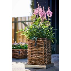 Firkantet bakke <br><br> galvaniseret <br><br> maxi - 46 x 46 x 4 cm <br><br> 