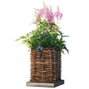 Firkantet bakke <br><br> galvaniseret <br><br> maxi - 46 x 46 x 4 cm <br><br> 