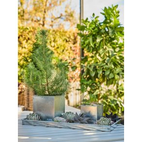 Rektangulr bakke <br><br> galvaniseret <br><br> mini - 40 x 18 x 2 cm <br><br> 