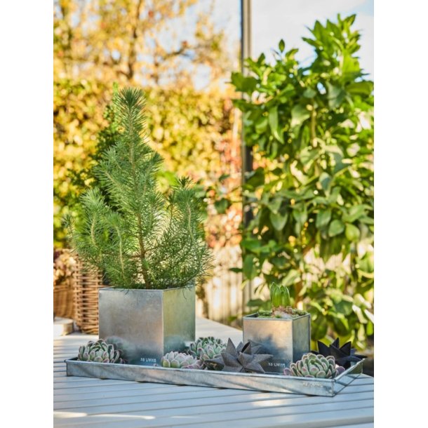 Rektangulr bakke <br><br> galvaniseret <br><br> mini - 40 x 18 x 2 cm <br><br> 