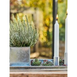 Rektangulr bakke <br><br> galvaniseret <br><br> mini - 40 x 18 x 2 cm <br><br> 