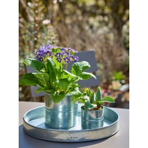 Rund bakke <br><br> galvaniseret <br><br> mini - �34 x h4 cm <br><br> 