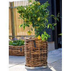 Rund bakke <br><br> galvaniseret <br><br> mini - �34 x h4 cm <br><br> 