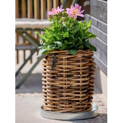 Rund bakke <br><br> galvaniseret <br><br> mini - �34 x h4 cm <br><br> 