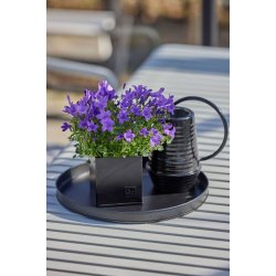 Rund bakke <br><br> sort <br><br> mini - 30 x h2 cm <br><br> 