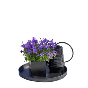 Rund bakke <br><br> sort <br><br> mini - 30 x h2 cm <br><br> 