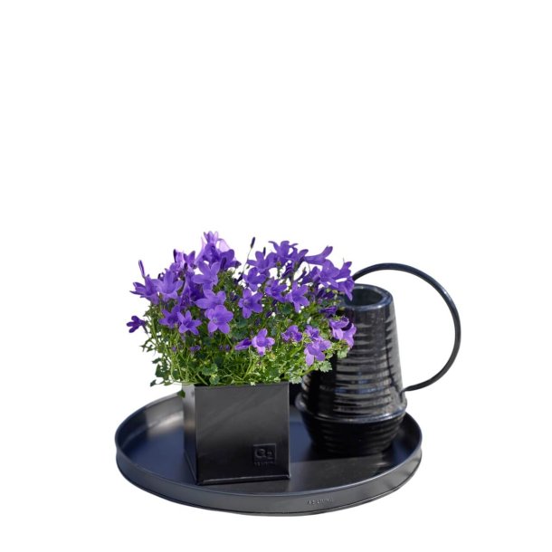 Rund bakke <br><br> sort <br><br> mini - 30 x h2 cm <br><br> 