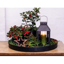 Runde bakker <br><br> sort <br><br> ST af 3 str