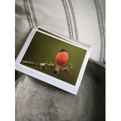 Kort m. kuvert <br><br> 10,5 x 14,8 cm <br><br> V�lg motiv <br><br> 2. SORTERING <br><br>