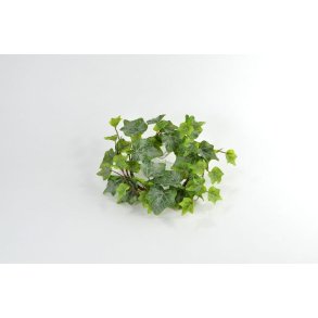 Efeu krans <br><br>  15 cm