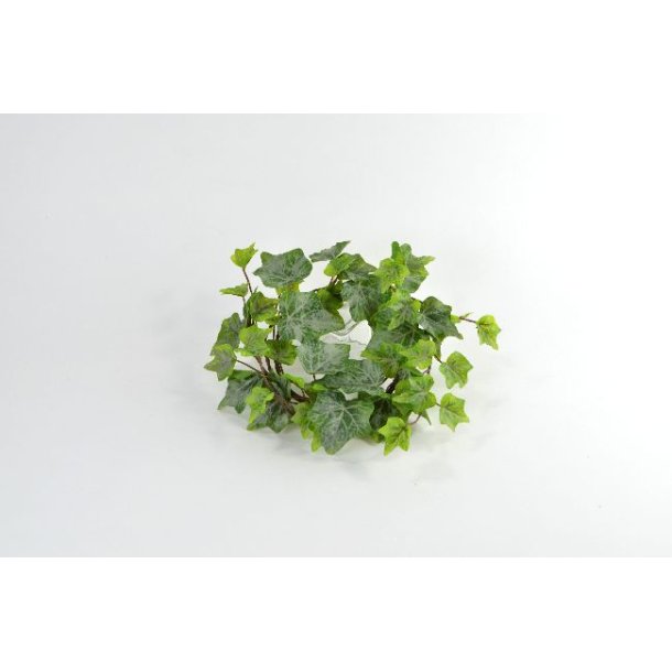 Efeu krans <br><br>  15 cm