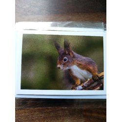 Kort m. kuvert <br><br> 7,4 x 10,5 cm <br><br> V�lg motiv <br><br> 2. SORTERING <br><br>