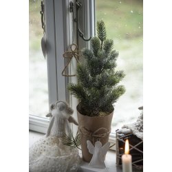 Mini grantr i potte <br><br> 42 cm <br><br>