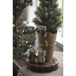 Mini grantr i potte <br><br> 42 cm <br><br>