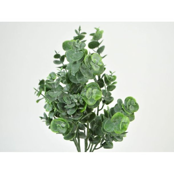 Eucalyptus buket <br><br> grn <br><br> L 38 cm <br><br>