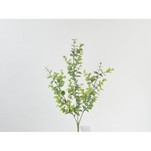 Eucalyptus gren <br><br> grn <br><br> L 65 cm