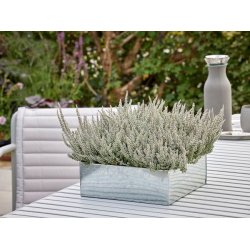 Firkantet plantebakke <br><br> galvaniseret <br><br> St af 3 str. <br><br>