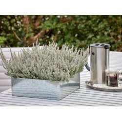 Firkantet plantebakke <br><br> galvaniseret <br><br> St af 3 str. <br><br>