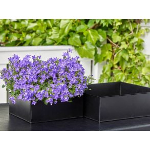 Firkantet plantebakke <br><br> sort <br><br> Midi - 26 x 26 x 9,5 cm <br><br>