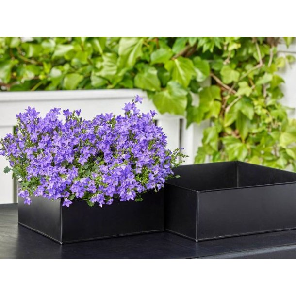 Firkantet plantebakke <br><br> sort <br><br> Midi - 26 x 26 x 9,5 cm <br><br>