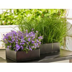 Firkantet plantebakke <br><br> sort <br><br> Maxi - 31 x 31 x 10 cm <br><br>