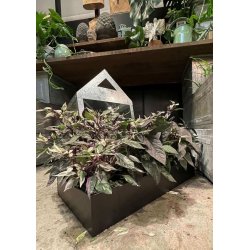 Rektangulr plantebakke <br><br> sort <br><br> Small - L56,5 x B32 cm