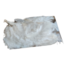 Lse fjer i pose <br><br> vlg mellem 6 slags <br><br> 