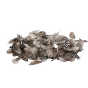 Lse fjer i pose <br><br> ca. 10 g - min. 300 stk. <br><br> gr m. prikker <br><br>