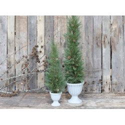 Fleur Grantr i cementpotte <br><br>h 65 cm