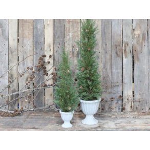 Fleur Grantr i cementpotte <br><br>h 65 cm