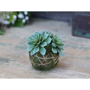 Fleur moskugle <br><br> m. husl�g <br><br> 8 cm