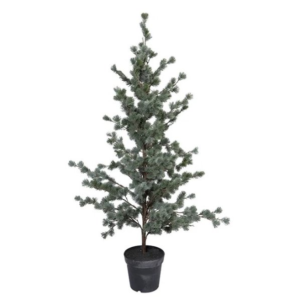 FREY cedertr� i plastpotte <br><br> 157 cm <br><br>