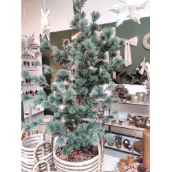 FREY cedertr� i plastpotte <br><br> 119 cm <br><br>