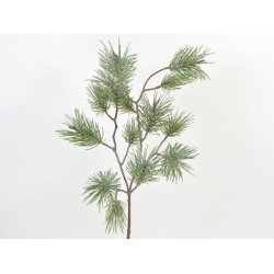 Fyrgran <br><br> L 55 cm