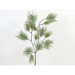 Fyrgran <br><br> L 55 cm