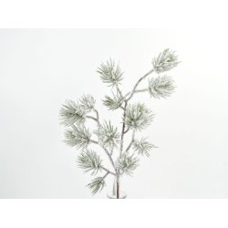 Fyrgran m. sne <br><br> Vlg mellem 2 strrelser