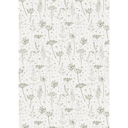 Gavepapir <br><br> Green Grass and Umbels <br><br> 5 m pr. rulle <br><br>